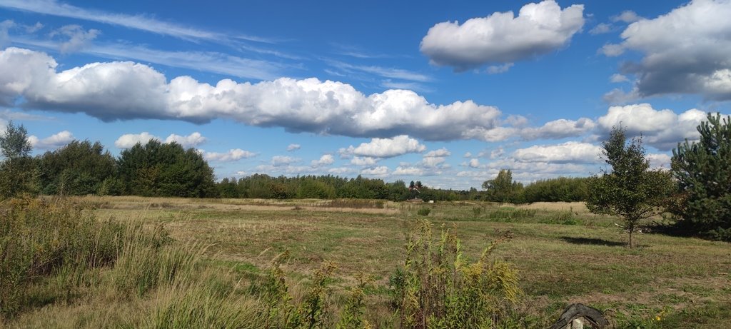 Działka budowlana na sprzedaż Borzęcin Mały, Anyżowa  1 526m2 Foto 5