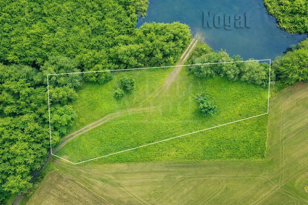 Przestronny dom z linią brzegową i stawem w Parparach Parpary  514m2 Foto 1