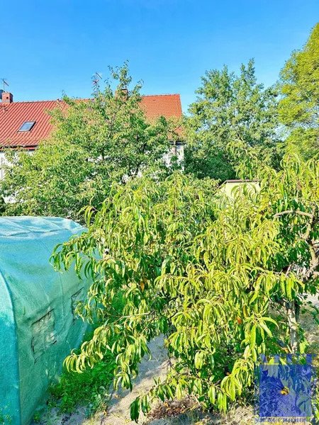 Dom na sprzedaż Gliwice, Szobiszowice, toszecka 62  240m2 Foto 4