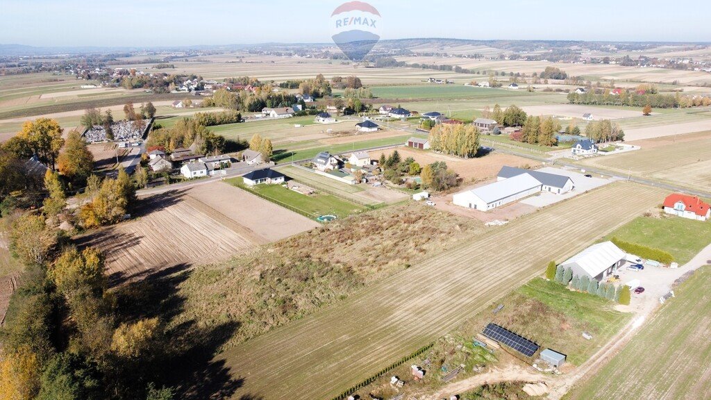 Lokal użytkowy na sprzedaż Tarczek  1 374m2 Foto 17