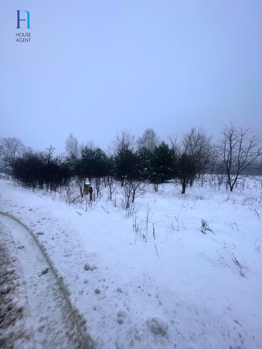 Działka rolna na sprzedaż Janów  6 000m2 Foto 7