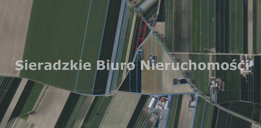 Zdjęcie 4