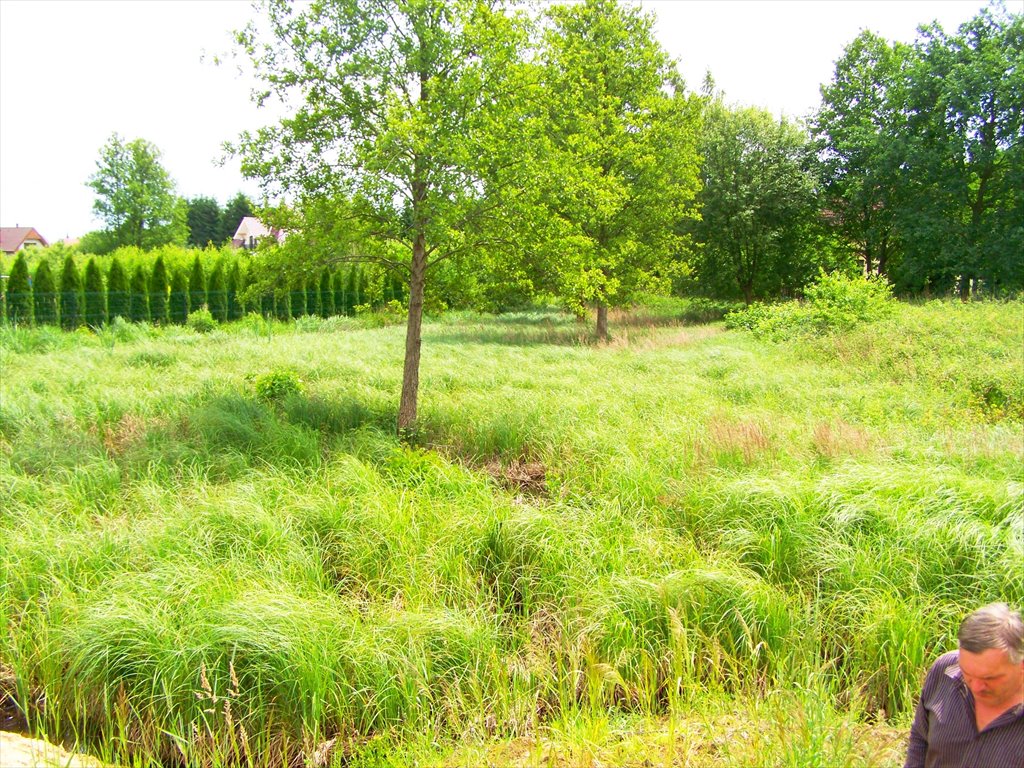 Na sprzedaż działka rolno-budowlana 12,61 ha z mediami w Chwalęcicach Chwalęcice  12 610m2 Foto 1