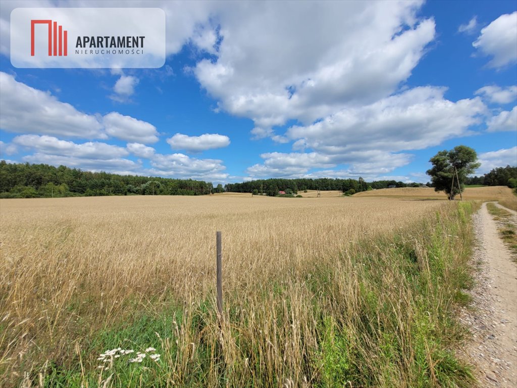 Działka gospodarstwo rolne na sprzedaż Skorzewo  6 000m2 Foto 9