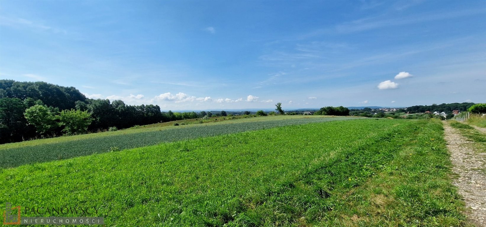 Działka budowlana na sprzedaż Bibice  17 440m2 Foto 3