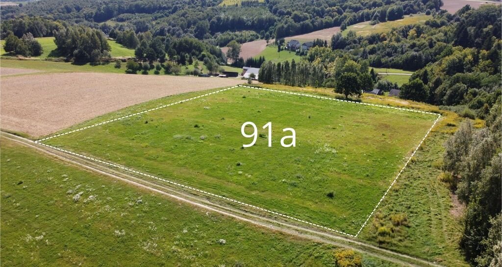 Działka 0,91ha z lasem i zabudową w Pstrągowej - polecam Pstrągowa  9 123m2 Foto 1