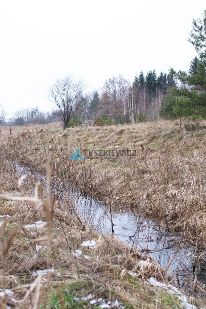 Działka przemysłowo-handlowa na sprzedaż Czarna Woda  21 400m2 Foto 12