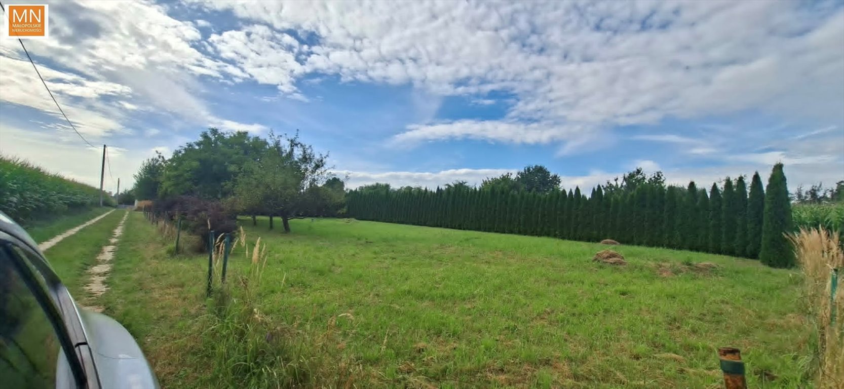 Zdjęcie 3