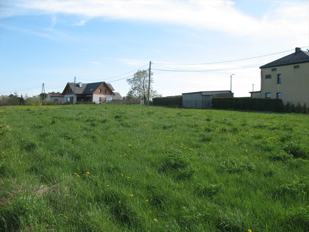 Działka budowlana na sprzedaż Świńczów  1 000m2 Foto 5