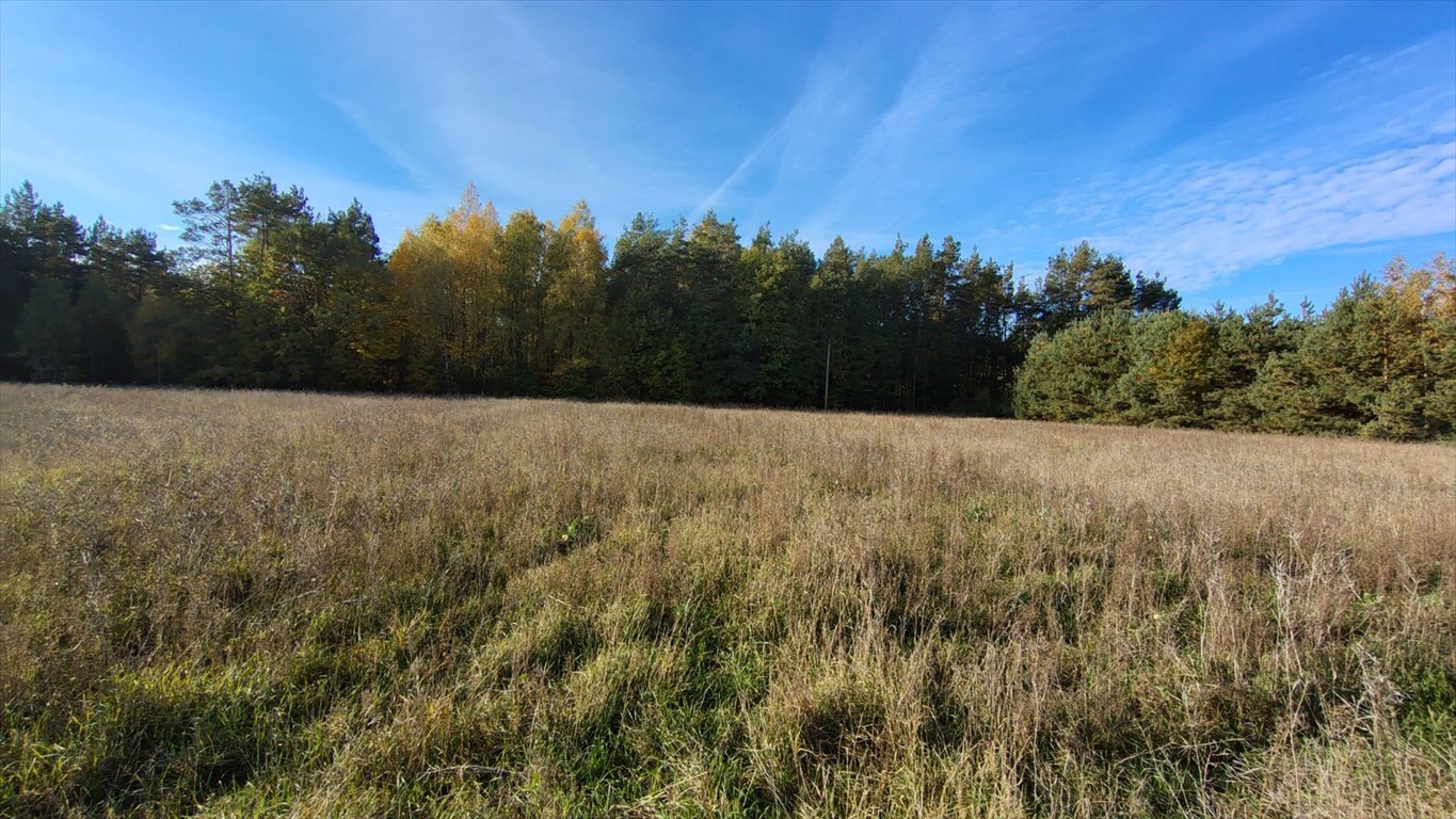 Działka inna na sprzedaż Nowa Wieś, Nowa Wieś  1 380m2 Foto 12