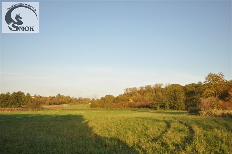 Do sprzedania działka 3 ha z MPZP i mediami w pobliżu Giebułtów  3 000m2 Foto 1