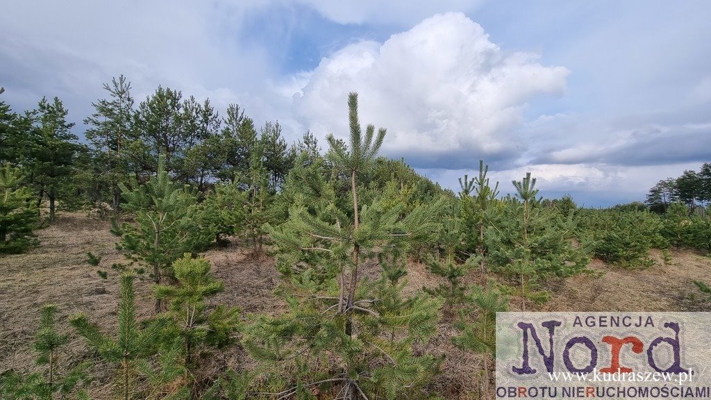 Działka 1001 m² pod zabudowę w Dalnym Lesie, blisko jeziora Dalny Las  1 001m2 Foto 1