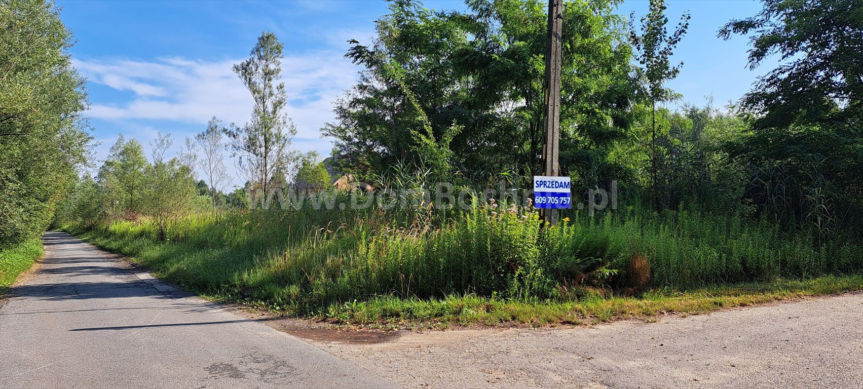 Działka budowlana na sprzedaż Jodłówka  12 700m2 Foto 1