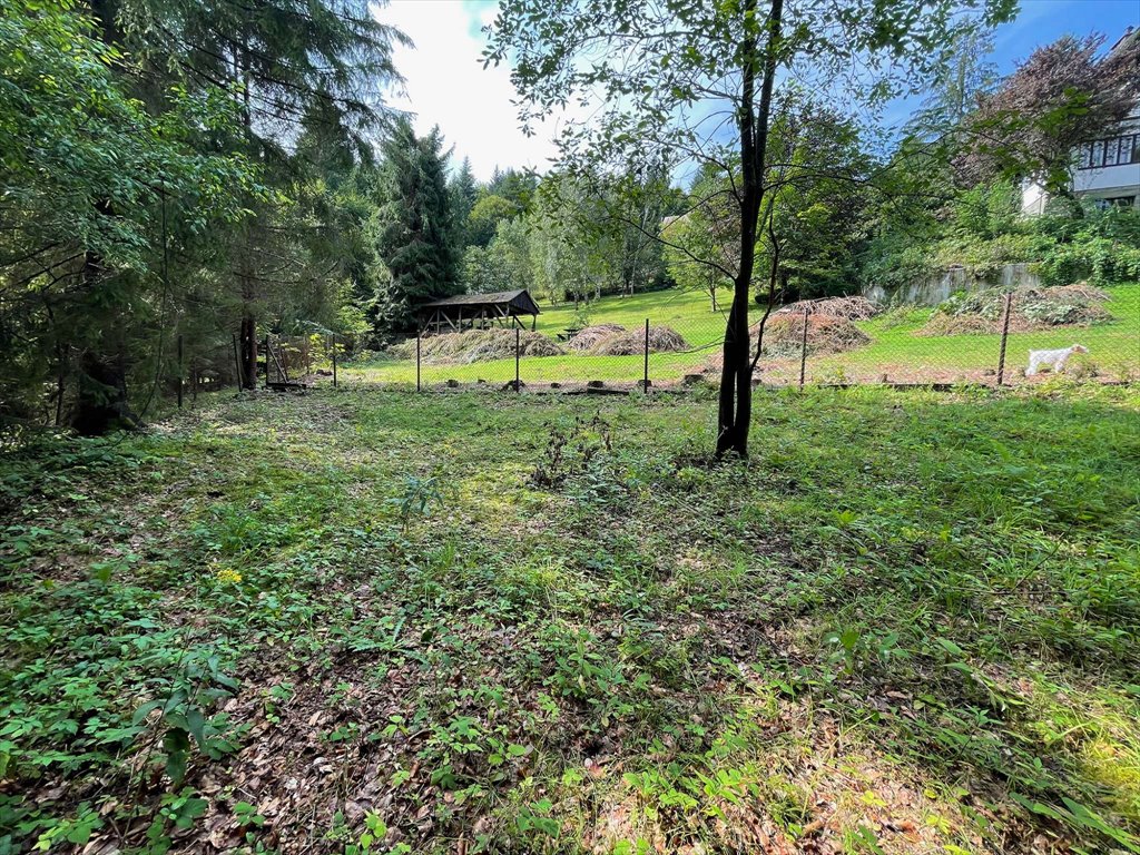 Działka budowlana na sprzedaż Wisła, Wisła  2 750m2 Foto 11