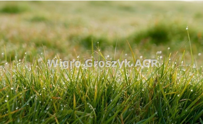 Sprzedam działkę 11 587 m² nad jeziorem w Dębinie Dębina  11 587m2 Foto 1