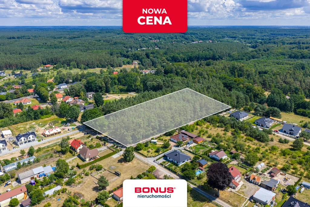 Działka w Szczecinie z prywatnym lasem i dużym potencjałem. Szczecin, Płonia  16 261m2 Foto 1