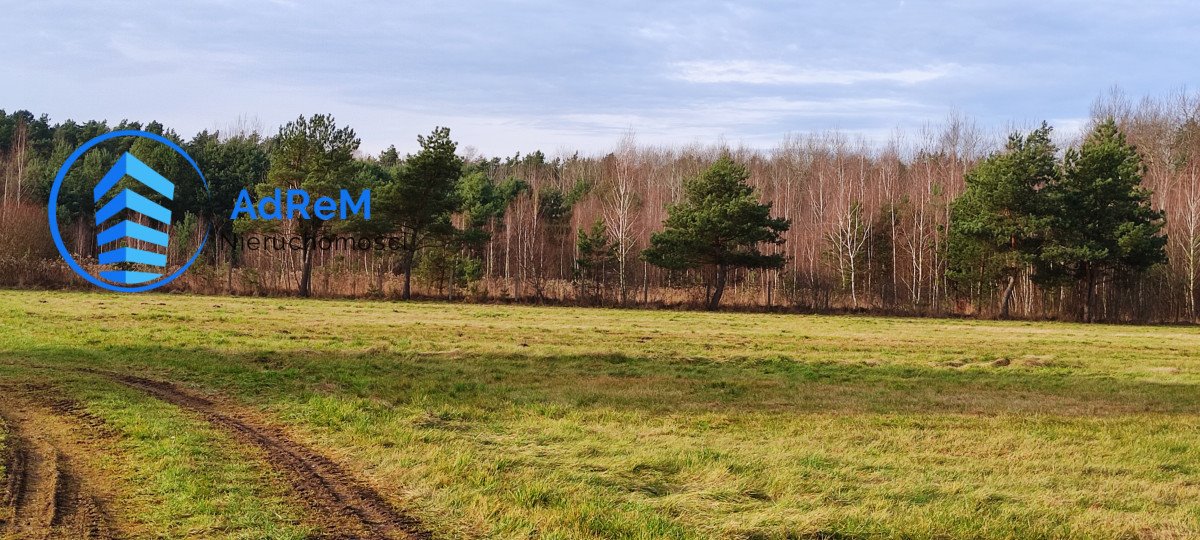 Działka rolna na sprzedaż Piskórka  9 827m2 Foto 1