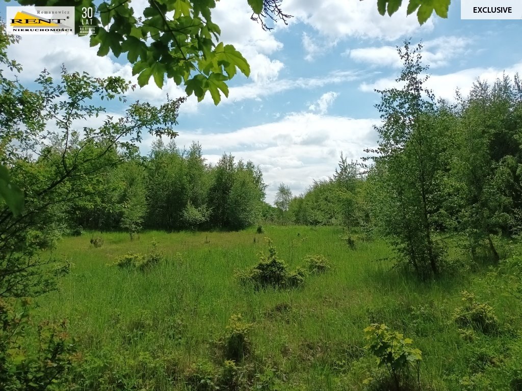 Działka rolna na sprzedaż Binowo  42 950m2 Foto 11