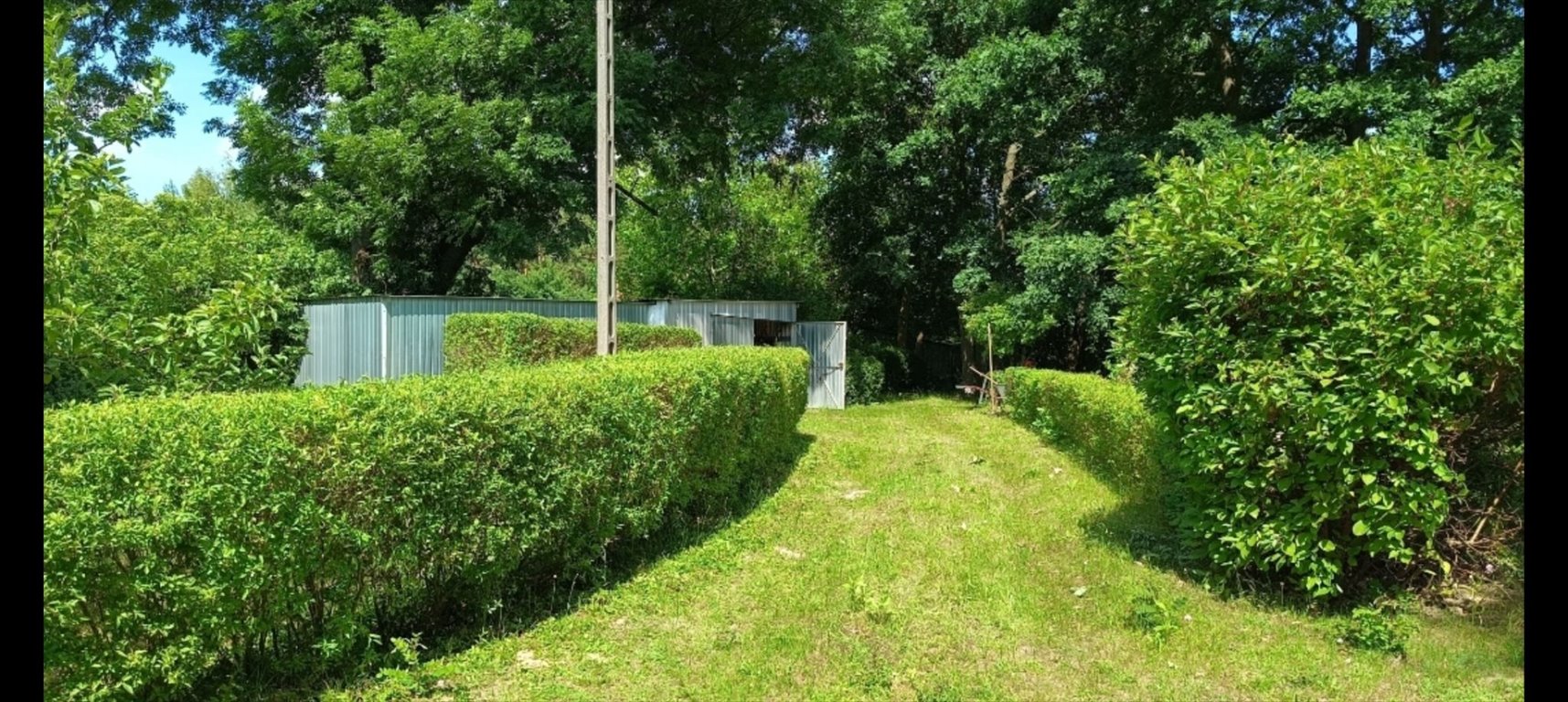 Działka budowlana na sprzedaż Mąkosy Stare, Mąkosy Stare  25 600m2 Foto 2