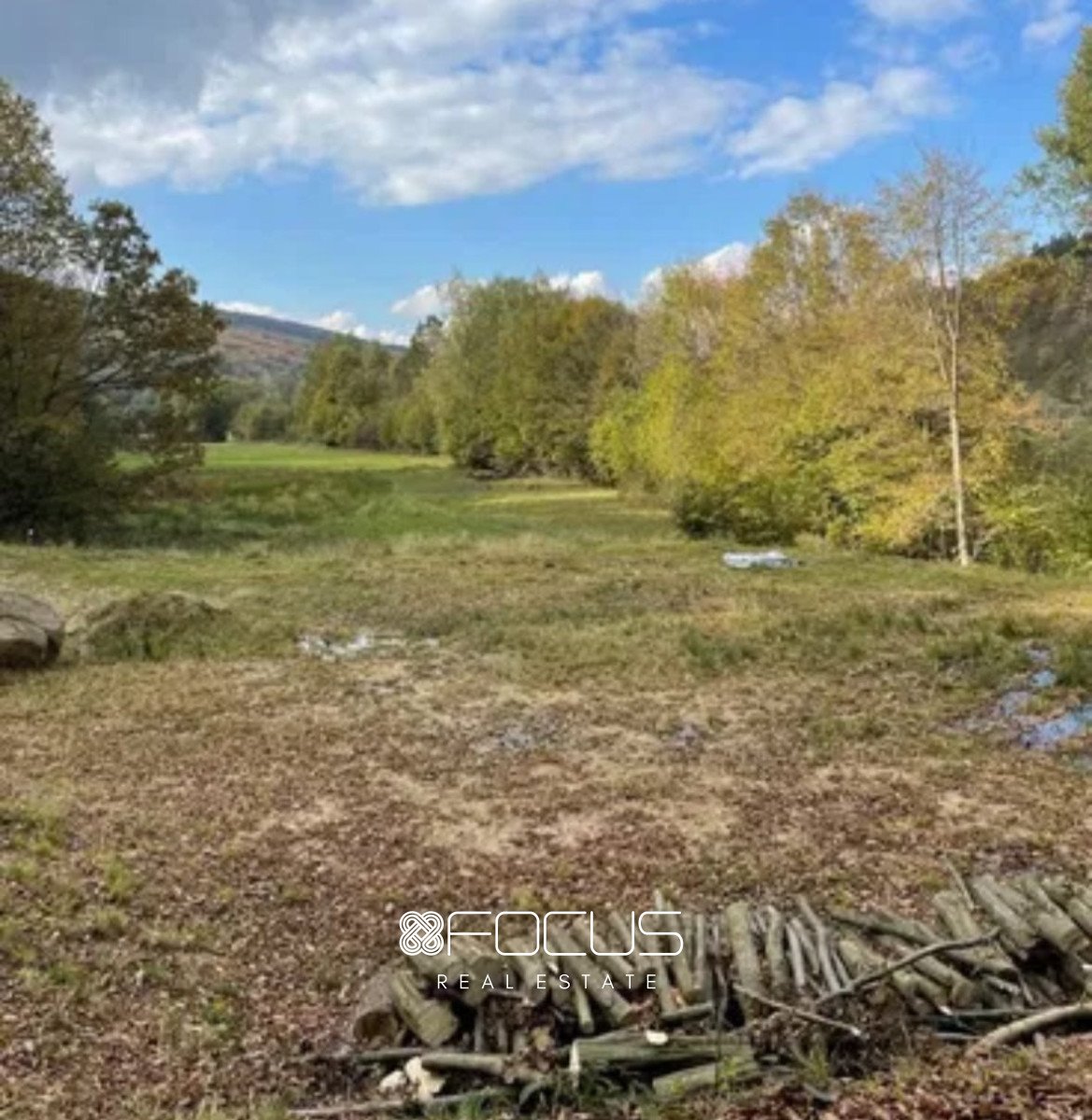 Działka budowlana na sprzedaż Ropica Górna  5 000m2 Foto 5