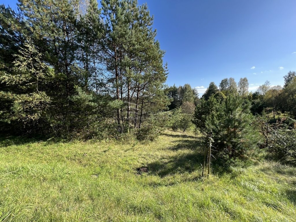 Działka 2669 m² z warunkami zabudowy, blisko jeziora Gim Nowa Kaletka  2 039m2 Foto 1