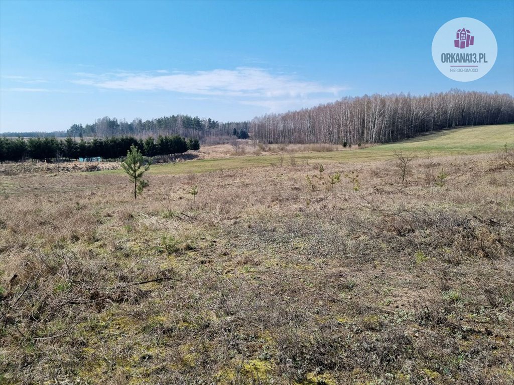 Działka budowlana na sprzedaż Biesówko, Biesówko  5 771m2 Foto 6