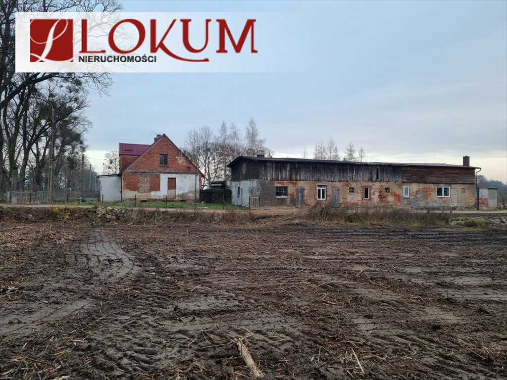 Działka budowlana na sprzedaż Świetlikowo  2 065m2 Foto 5