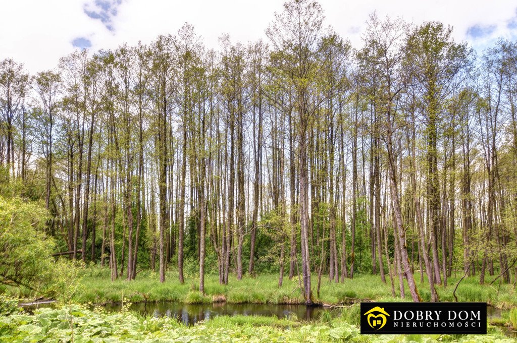 Działka budowlana na sprzedaż Suwałki  3 000m2 Foto 3