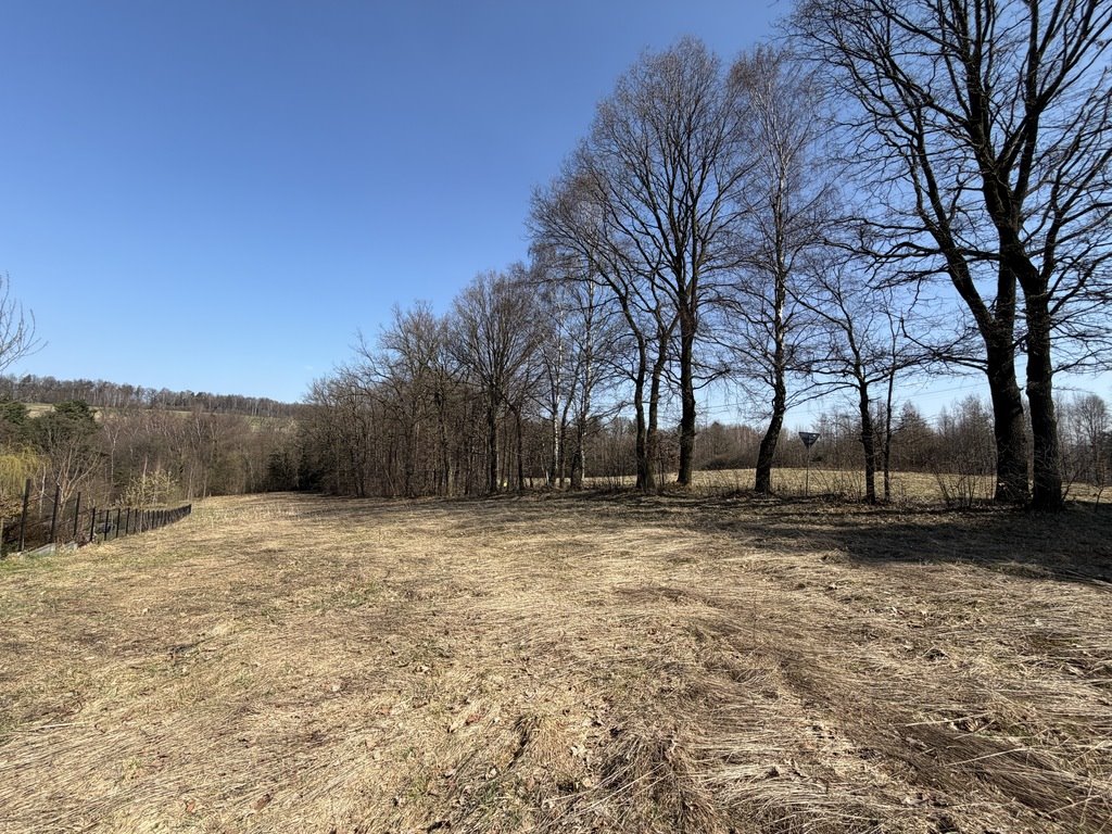 Działka 3971 m2 z częścią budowlaną, spokojna okolica Zarzyce Małe  3 971m2 Foto 1