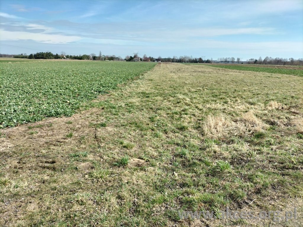 Działka budowlana 7030 m² przy asfaltowej drodze, Kampinos Brochów  7 030m2 Foto 1