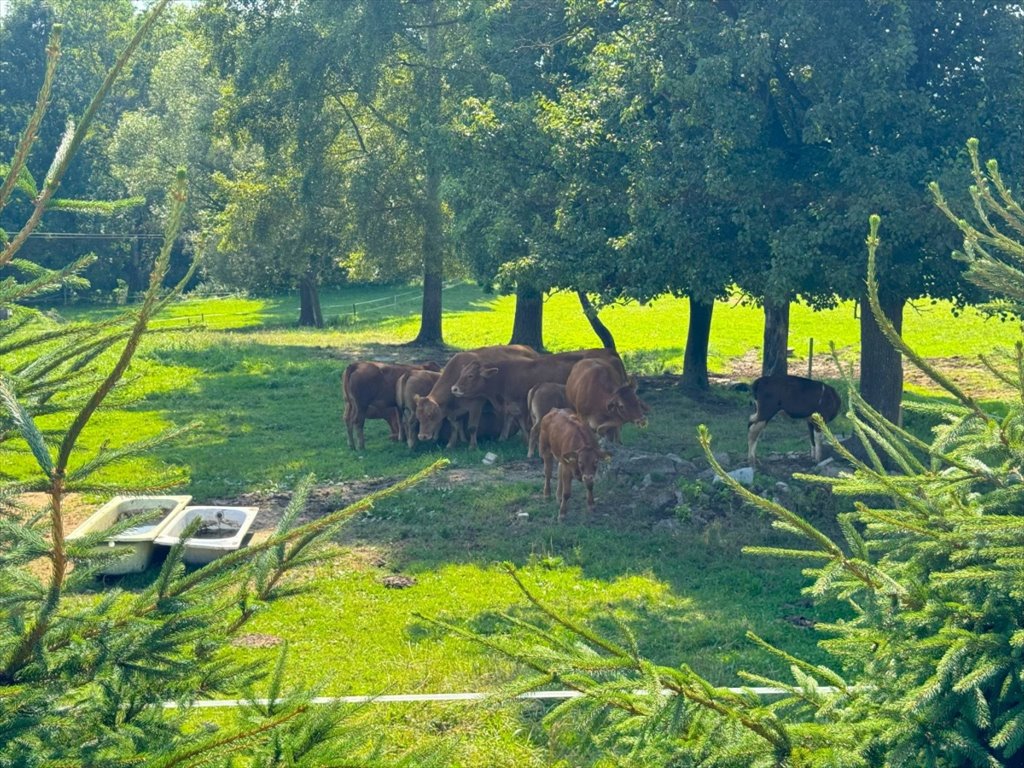 Dom na sprzedaż Krosno, Zawodzie  145m2 Foto 18