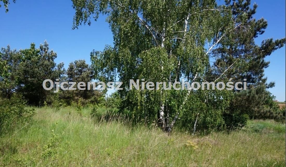 Działka 3048 m² z warunkami zabudowy, prąd i woda Dąbrówka Nowa  3 048m2 Foto 1