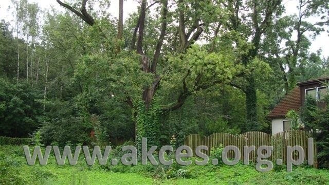 Działka 3280 m² w Wawrze z mediami i pięknymi drzewami Warszawa, Wawer, Marysin Wawerski  3 280m2 Foto 1