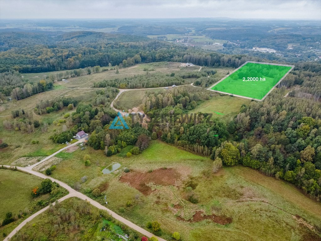 Działka budowlana na sprzedaż Przywidz, Gawronia  22 000m2 Foto 2