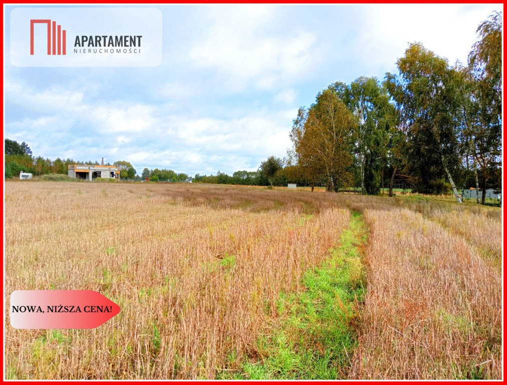 Działka budowlana na sprzedaż Branica  5 600m2 Foto 2