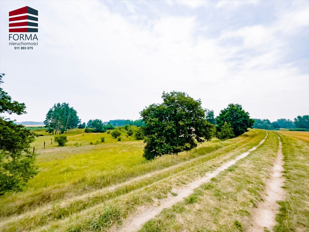 Działka leśna na sprzedaż Pięczkowo, Pięczkowo, sportowa 212/1  35 280m2 Foto 6