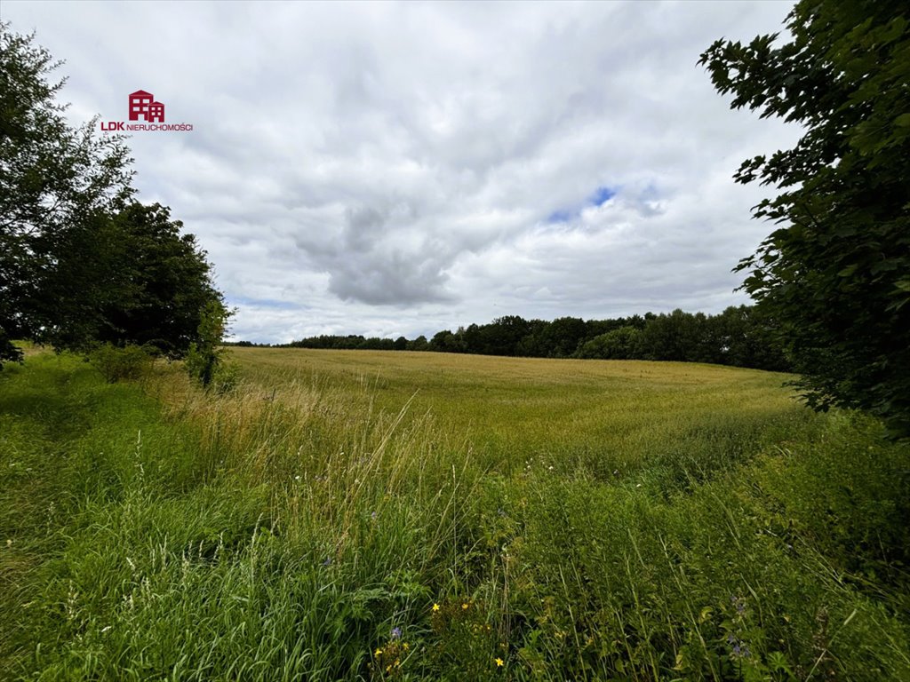 Działka siedliskowa na sprzedaż Mierzeszyn, Gdańska  16 681m2 Foto 9