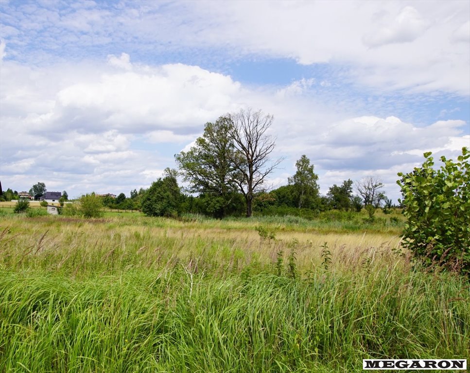 Działka inna na sprzedaż Brzeziny-Kolonia  1 491m2 Foto 4