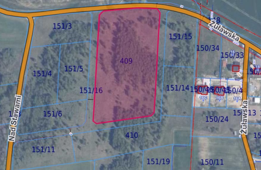 Działka 23 536 m² z warunkami zabudowy i potencjałem rozwoju Lisewiec, Żuławska  23 536m2 Foto 1