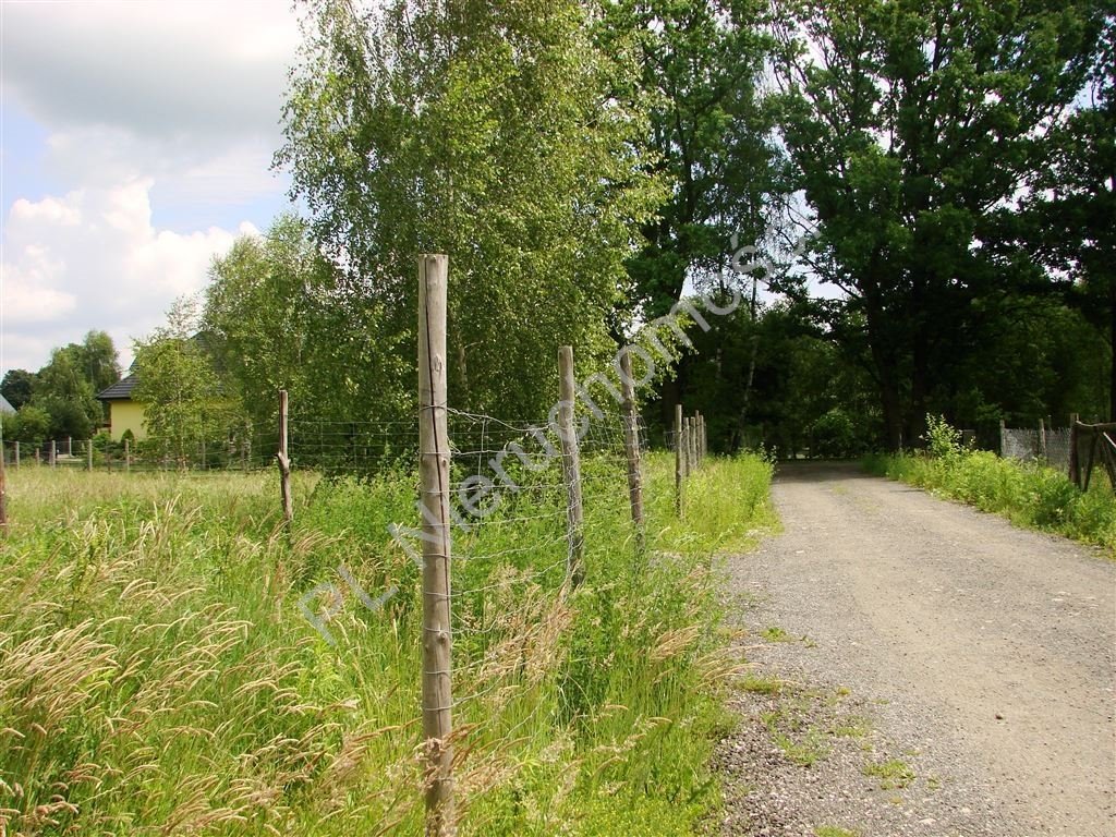 Działki Owczarnia 6355 m² z pozwoleniem na budowę polecam Owczarnia  6 355m2 Foto 1