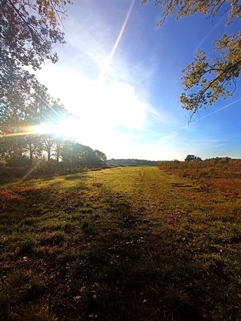 Działka inna na sprzedaż Osetna  22 675m2 Foto 4