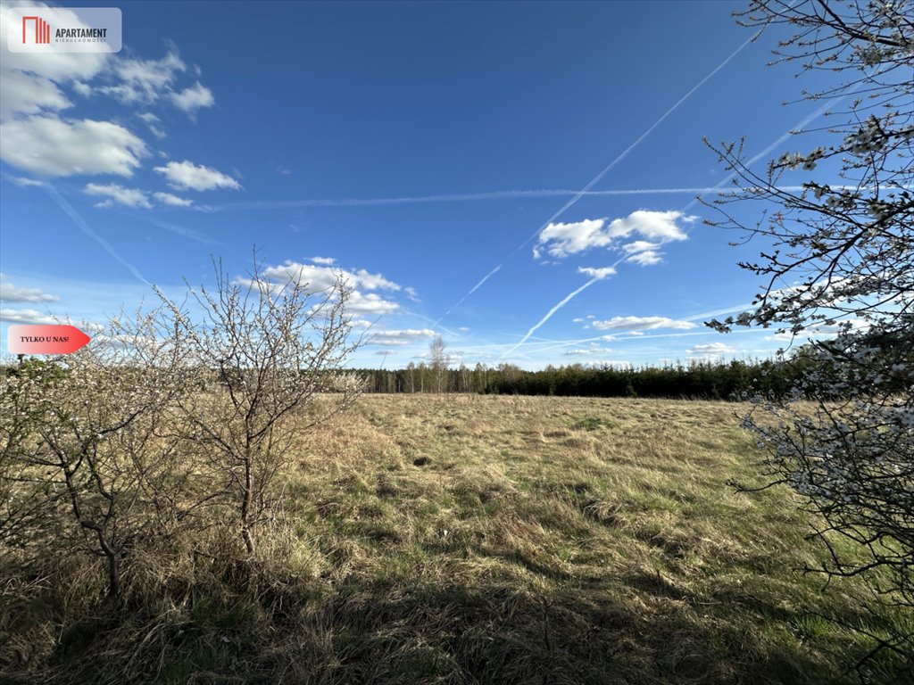 Działka 2600 m² w Skórce – cicha okolica, blisko szkoły Skórka  2 600m2 Foto 1