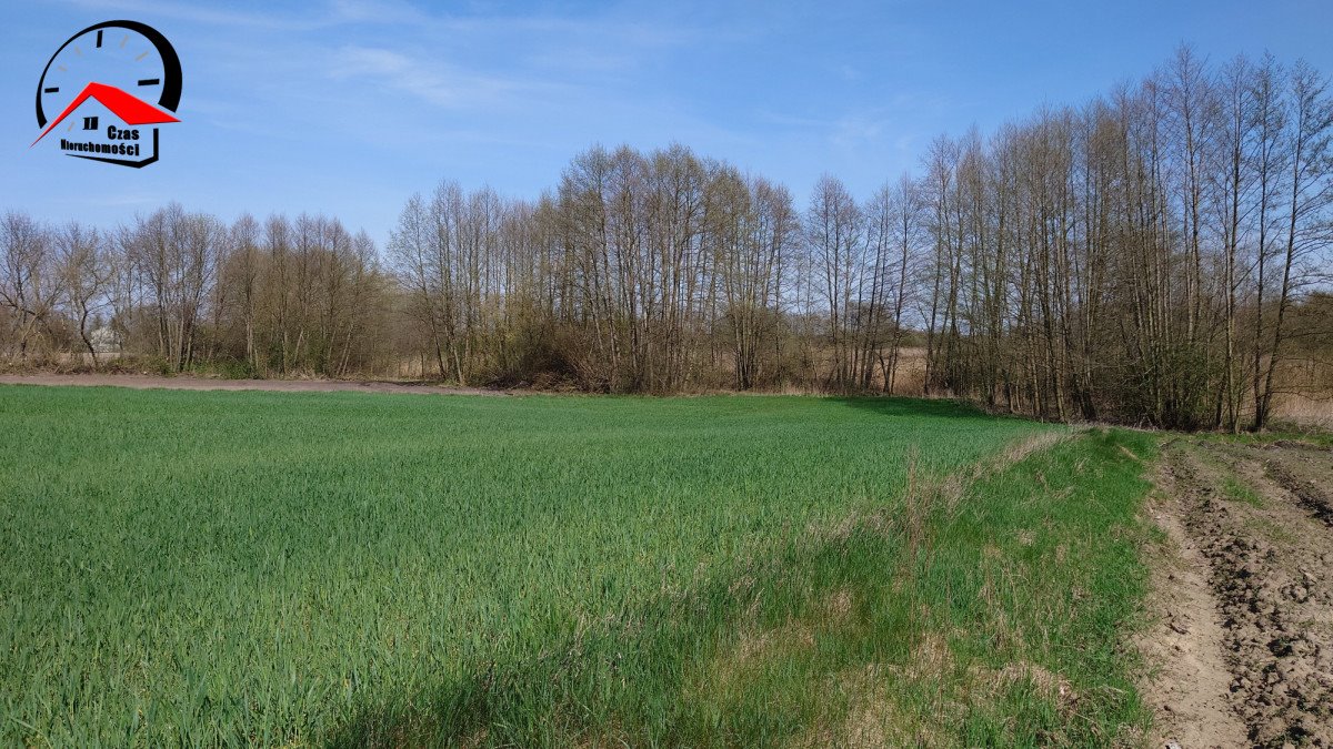 Działka gospodarstwo rolne na sprzedaż Kozjaty  8 000m2 Foto 6