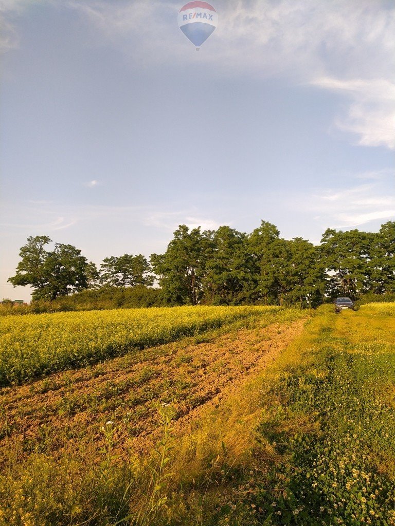 Działka siedliskowa na sprzedaż Stręgoborzyce  3 200m2 Foto 6