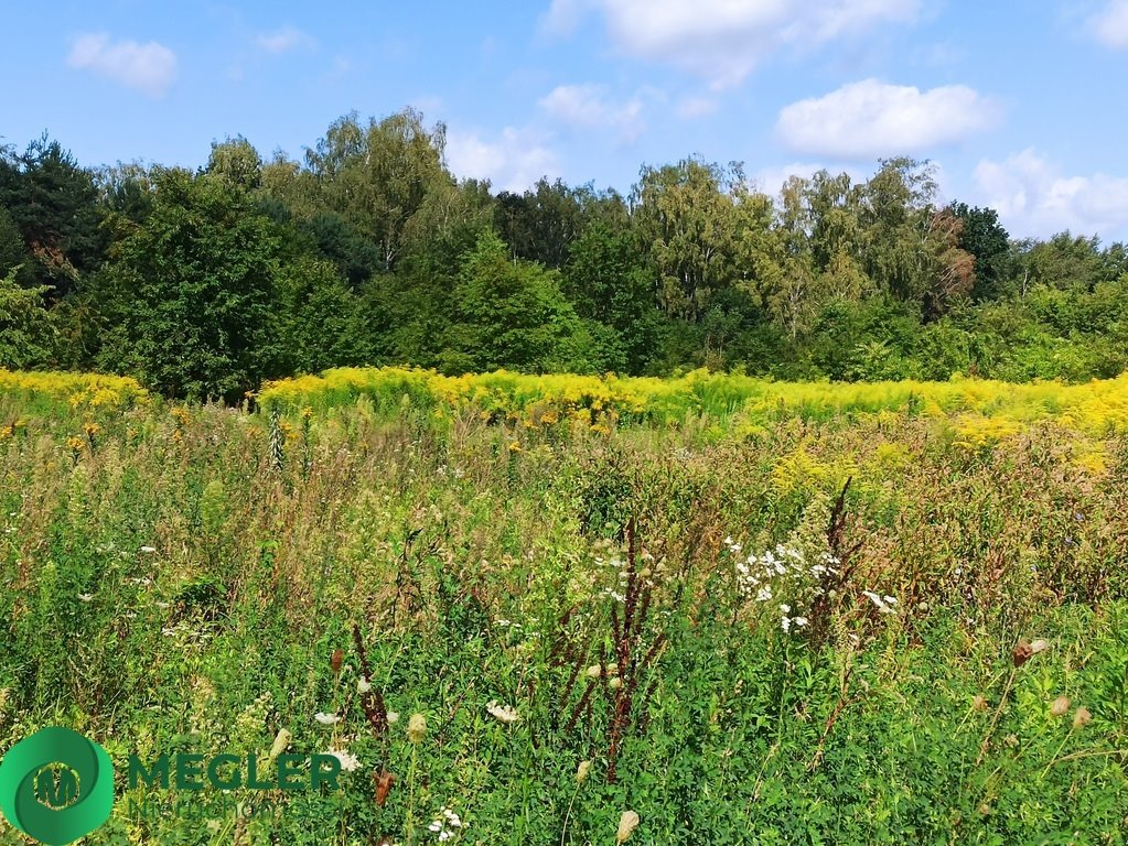 Działka budowlana na sprzedaż Granica  900m2 Foto 3