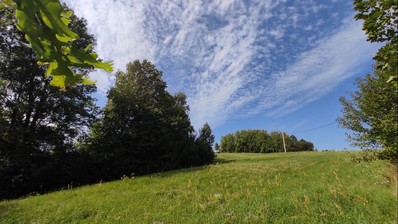 Działka budowlana na sprzedaż Radkowice-Kolonia  4 651m2 Foto 15