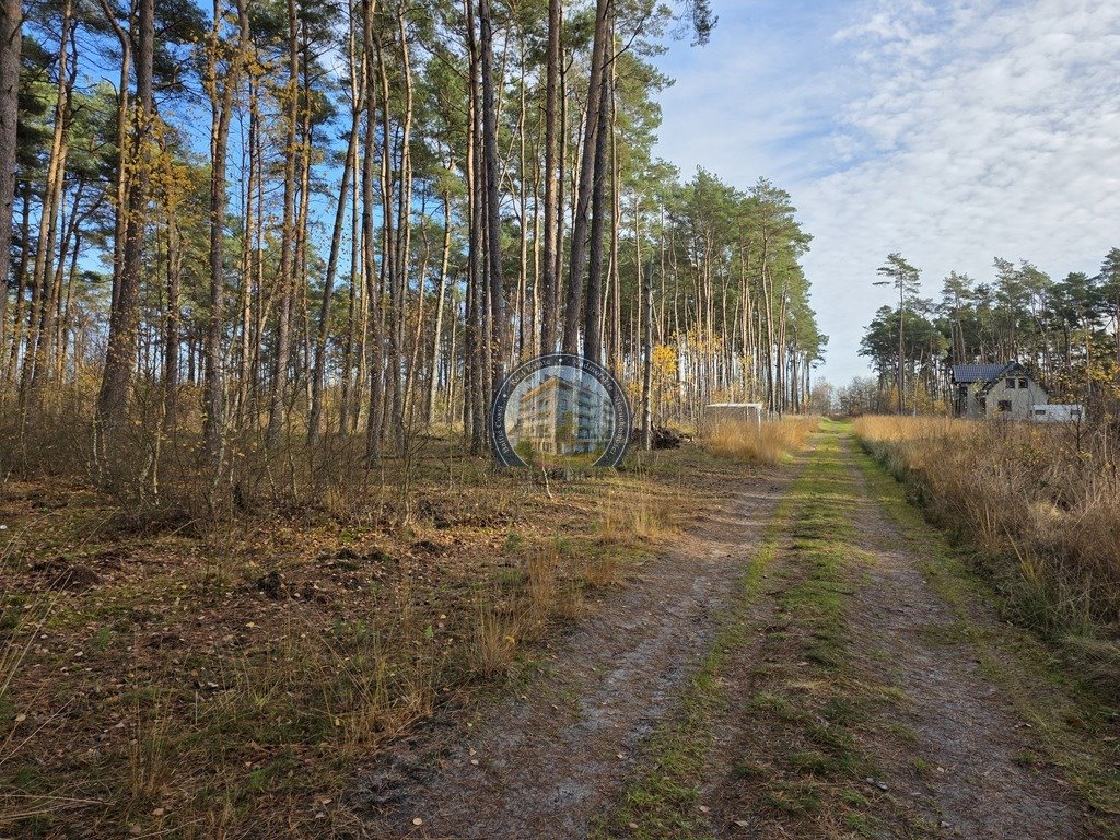 Działka 1646 m2 900 m od morza las i spokój Dziwnów  1 646m2 Foto 1