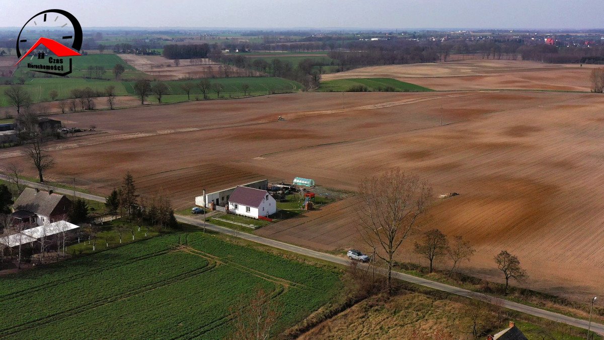 Działka budowlana na sprzedaż Dzierzążno  1 404m2 Foto 7