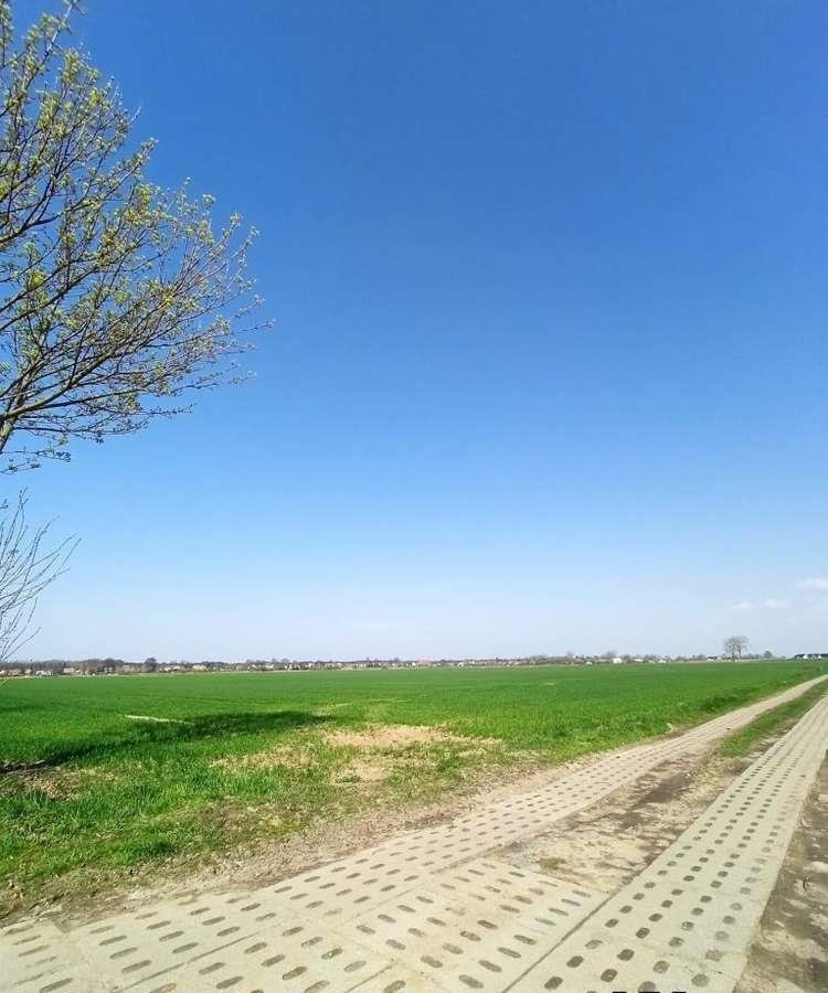 Działka rolna na sprzedaż Sztutowo  3 000m2 Foto 4