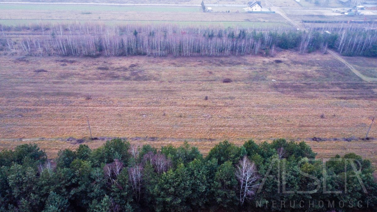 Działka budowlana na sprzedaż Leszczydół-Nowiny, Daliowa  1 150m2 Foto 9